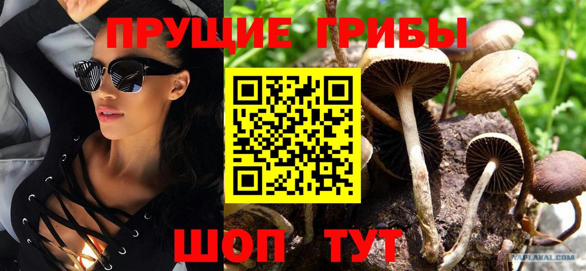 Псилоцибиновые грибы Psilocybine cubensis  Галлюциногенные грибы Magic Shrooms  Сызрань  Вход с VPN 